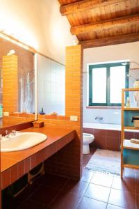 y baño con lavabo y aseo. en Villa Etna, en Nicolosi