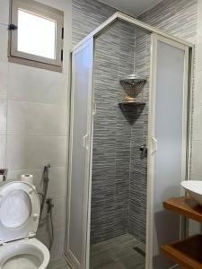 La salle de bains est pourvue de toilettes et d'une douche en verre. dans l'établissement Maison de Campagne, à Dar SaÃ¯d Ben Hajj