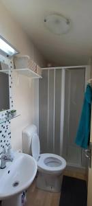 ein Badezimmer mit einem weißen WC und einem Waschbecken in der Unterkunft Little house in Ražanac in Ražanac