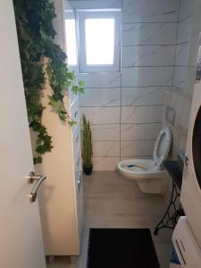 La salle de bains est pourvue de toilettes et d'une fenêtre. dans l'établissement Plaza extra lux apartman garage free, à Stanovo
