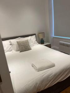 Cama o camas de una habitación en Lovely London Apartment