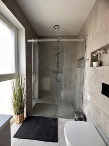 a bathroom with a shower with a toilet and a sink at Palanga Waves Cottages in Kunigiskes in Palanga