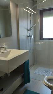 een badkamer met een wastafel, een douche en een toilet bij Moni in Aprilia Marittima