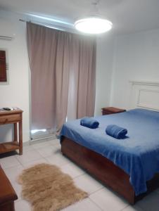 a bedroom with a bed with blue sheets and a rug at Departamento el estadio in Santiago del Estero