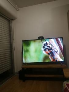 a flat screen tv sitting in a living room at palalain appartement in Tarbes