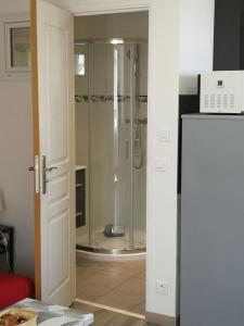 a bathroom with a shower with a glass door at palalain appartement in Tarbes