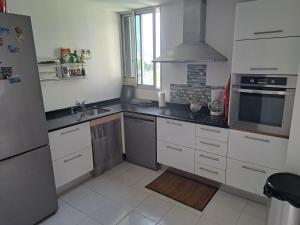 una cucina con lavandino e piano cottura forno superiore di Superbe appartement au coeur de la Marina a Pointe-à-Pitre