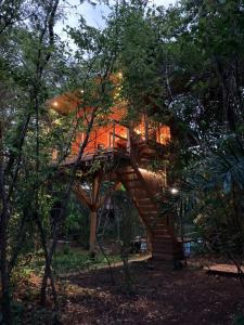 une cabane dans les arbres au milieu de la forêt dans l'établissement Tamarindo Pura Selva Eco Tree House, à Guatemala