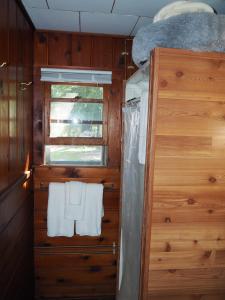a small bathroom with a towel hanging on a window at Sleeping Bear Riverside Cabins - Cabin #3 in Honor