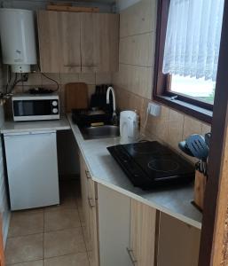 a small kitchen with a sink and a microwave at Domek 04 Ośrodek Wyp Joanna Wojnowo in Wojnowo