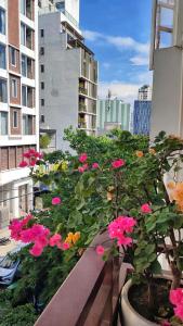Zahrada ubytování Thanh Hiền HB Hotel