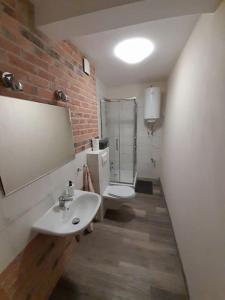 a bathroom with a white sink and a toilet at Sieraków - Kraina 100 Jezior in Sieraków