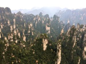 旅馆周边自然景观