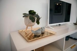 un bureau avec une plante et un vase. dans l'établissement Flowers & Faces Guesthouse, à Ponte de Lima