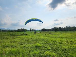 une personne vole un parachute dans un champ dans l'établissement Cross Ceylon, à Negombo