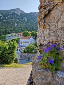 a flower pot on the side of a stone wall at PLOMIN SKY&BAY in Plomin