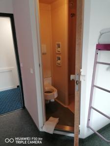 a bathroom with a toilet and a ladder at Hotel K1 Nohra in Nohra