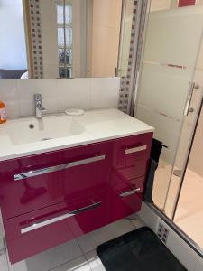 a bathroom with a pink sink and a mirror at Ravissant studio au centre ville de Cuges les Pin proche Marseille, Aix, Toulon, plages in Cuges-les-Pins