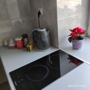 Dapur atau dapur kecil di Apartament Pod Lipą