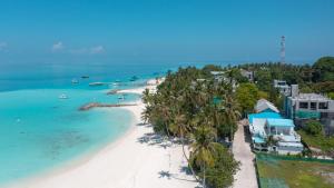 an aerial view of a beach with palm trees at Rushkokaa Beach Villa in Fulidhoo