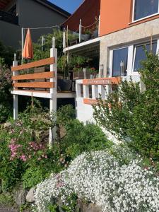 Zahrada ubytování Ferienwohnung Drachennest mit Sonnenterrasse + 25 fotografií