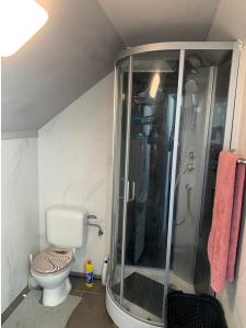 een badkamer met een douche en een toilet bij Un sommeil paisible in Brussel