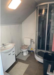 een badkamer met een douche, een toilet en een wastafel bij Un sommeil paisible in Brussel