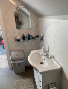 een badkamer met een wastafel en een spiegel bij Un sommeil paisible in Brussel