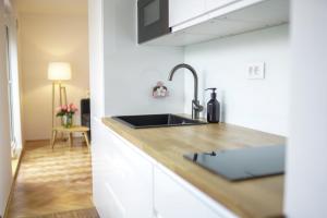 a kitchen with a sink and a counter top at Bright Apartment in Ljubljana