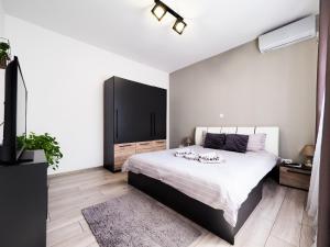 a bedroom with a large bed and a flat screen tv at Ben Apartments in Sibiu