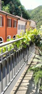 une clôture avec des plantes sur le côté d'une rue dans l'établissement Shanel, à Seravezza