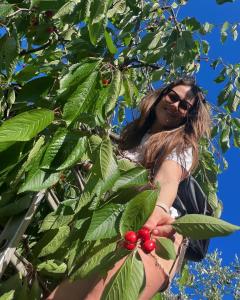 Eine Frau sitzt auf einem Baum mit Beeren. in der Unterkunft Donna Elena in Vico del Gargano