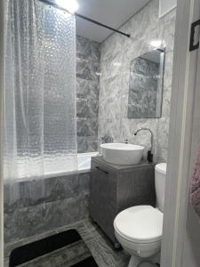 uma casa de banho com um WC, um lavatório e um chuveiro em ЛЮКС однокомнатная квартира. ЦЕНТР. em Balkhash