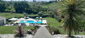 a view of a resort with a palm tree at Casa Francisco in Batalha