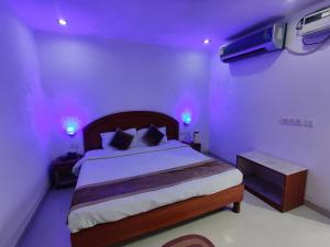 Gallery image of Euro Star Inn in Khajurāho