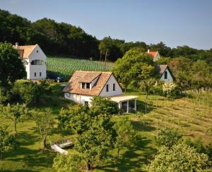 uma vista aérea de uma casa e de uma vinha em Cheerful Cottage at Balatonfelvidek Dörgicse em Mencshely