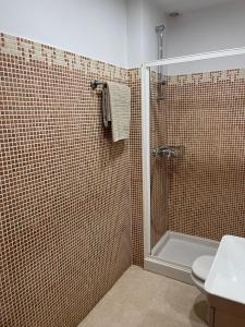 マラガにあるApartamento Ancha del Carmenのバスルーム(シャワー、トイレ付)