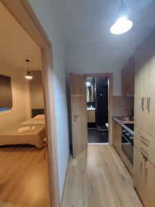 Zimmer mit einem Bett und einer Küche in einem Zimmer in der Unterkunft Ulysses Apartments Syntagma in Athen