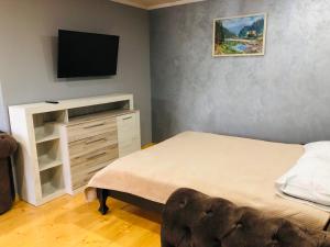 ein Schlafzimmer mit einem Bett und einem TV an der Wand in der Unterkunft Під лісом in Soymy