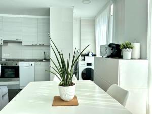 Fotografia z galérie ubytovania Apartamento peatonal, Lujosamente acogedor v destinácii Boiro