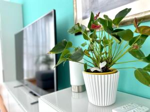 Fotografia z galérie ubytovania Apartamento peatonal, Lujosamente acogedor v destinácii Boiro