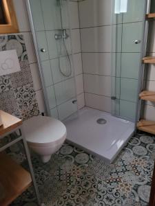 La salle de bains est pourvue de toilettes et d'une douche en verre. dans l'établissement Domek letniskowy Młyn, à Karwieńskie Błoto Pierwsze