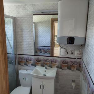 a bathroom with a toilet and a sink and a mirror at Dom wypoczynkowy w lesie nieopodal jeziora in Szteklin