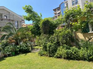 un patio con árboles y plantas junto a un edificio en Holiday Home Vesna en Budva