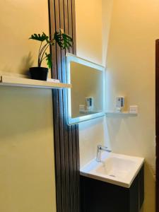 een badkamer met een wastafel, een spiegel en een plant bij Happy Day هابي دي 