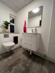 W łazience znajduje się toaleta, umywalka i lustro. w obiekcie Sejerø Vandrehjem w mieście Sejerby