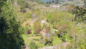 a house in the middle of a hill with trees at Casa El Prao in Arenas de San Pedro