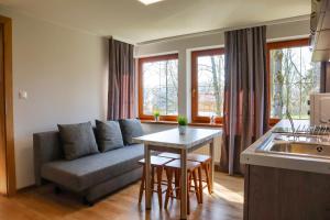 a living room with a couch and a table at Apartments Pod Jaworami in Białka Tatrzańska