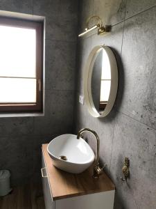 bagno con lavandino e specchio di Noclegi DobraNocka a Sąpów