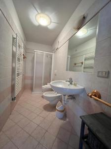 La salle de bains est pourvue d'un lavabo, de toilettes et d'un miroir. dans l'établissement Agritur Maso Forcola, à Brez